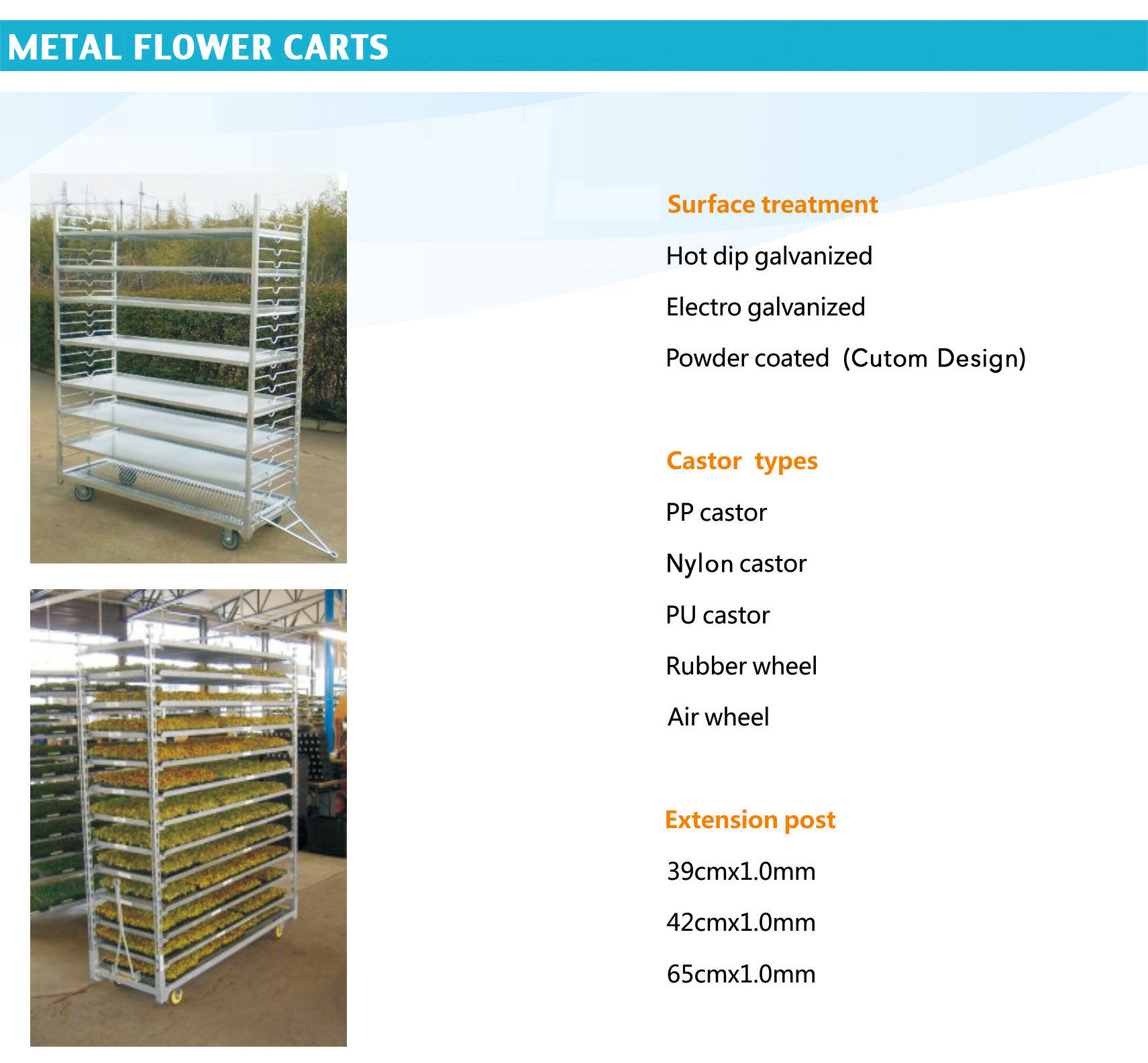 Metal Flower Carts